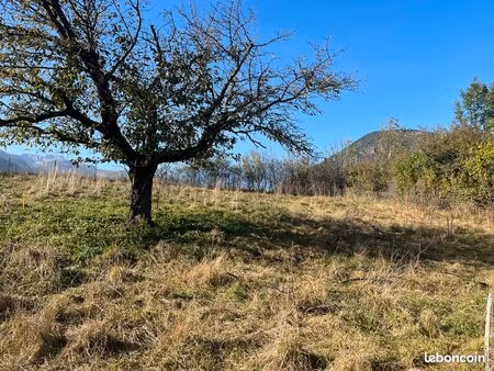 terrain viabilise la chambre