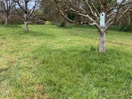 400m2 espace camping sauvage