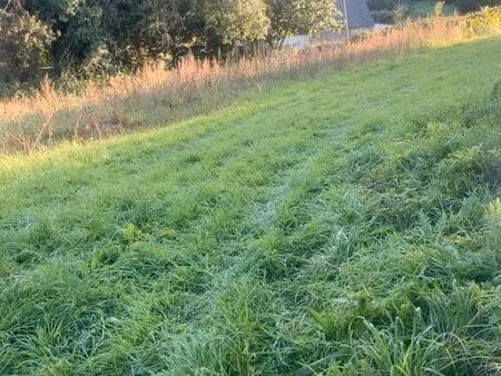 parcelle 250m2 sur terrain arboré 3km perros guirec