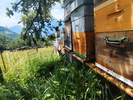 recherche emplacement ruche