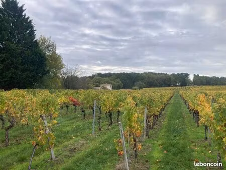 terrain 1 500 m² saint sauveur de puynormand