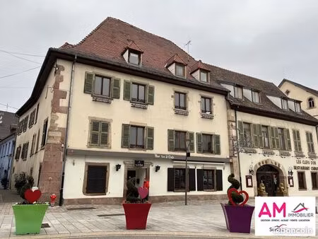 immeuble 750 m² soultz-haut-rhin