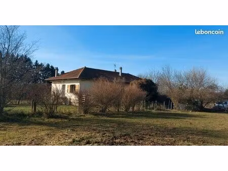 maison avec grand terrain