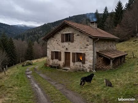 maison à louer monts du forez