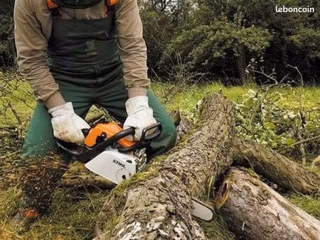 bois à vendre - pont remy