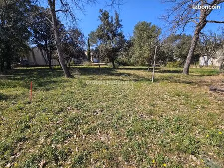 terrain 593 m² saint-didier