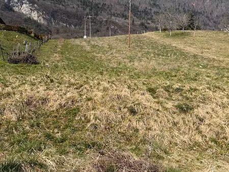 terrain constructible