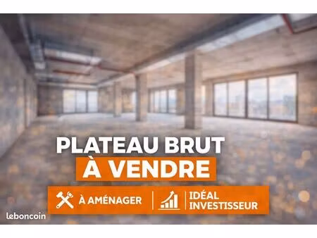 plateau brut fort potentiel