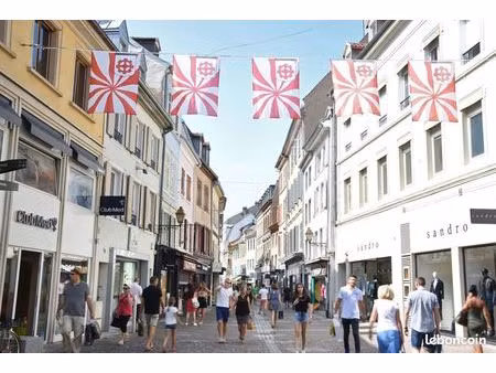 local commercial 200 m² mulhouse