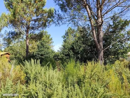 terrain 750 m² vendays montalivet