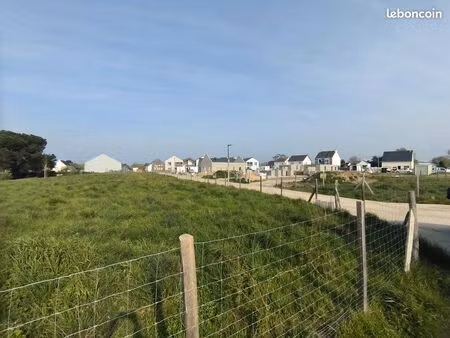 terrain borné et viabilisé