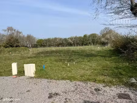 terrain 550 m² riaillé