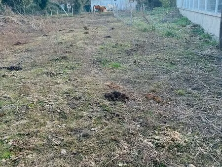 terrain constructible à tarbes  1263 m²