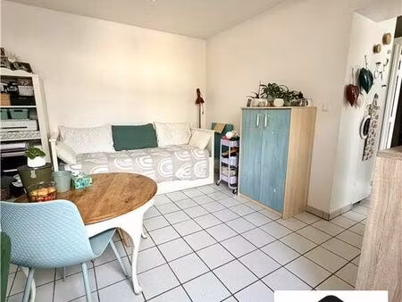 studio 1 pièce 28 m²
