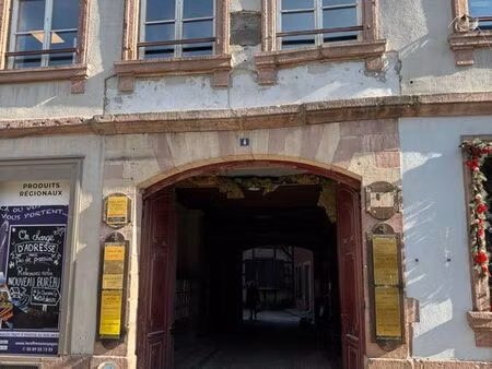 local professionnel colmar centre