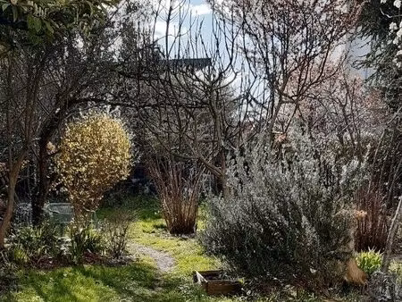 terrain constructible centre ville