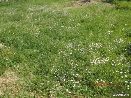 terrain constructible