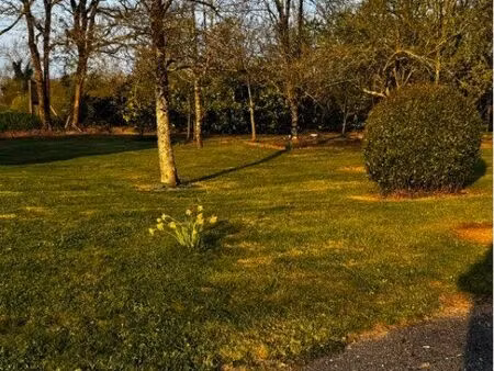 terrain constructible