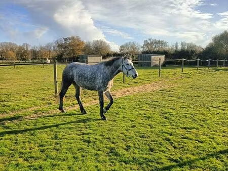 cherche terrain agricole