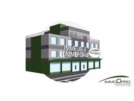 immeuble 300 m² eu