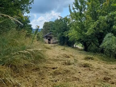 verger / terrain agricole avec maisonnette