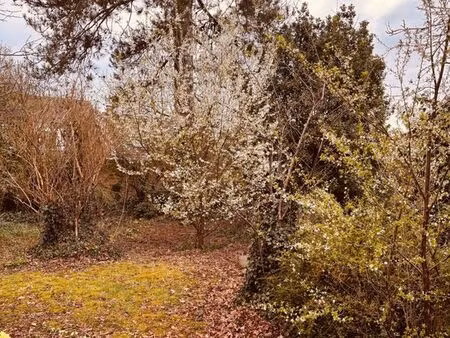 terrain 475 m² jonchery-sur-vesle