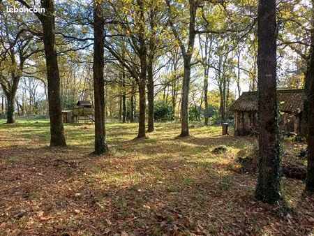 terrain boisé de 3930m2 constructible sur 129m2