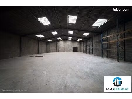 local d'activite 1480 m² camon