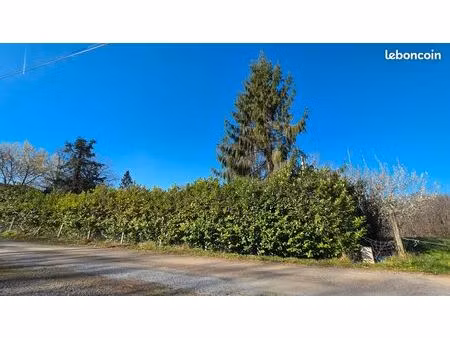 ensemble terrain avec c.u+prairie+bois