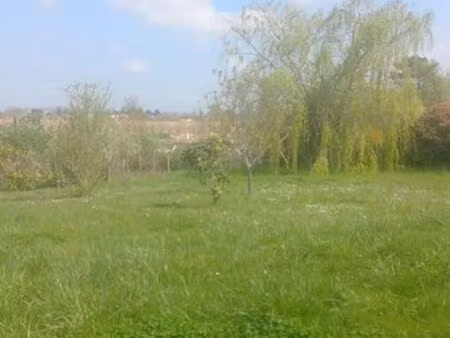 grand terrain constructible