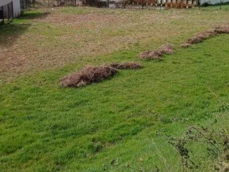 terrain agricole 800m2