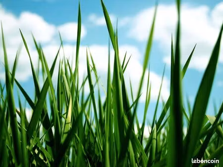 terrain au centre de la brède