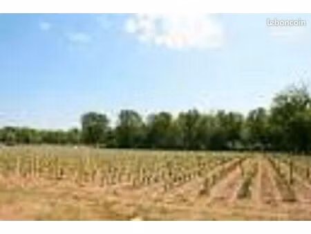 terrain 515 m² cerons