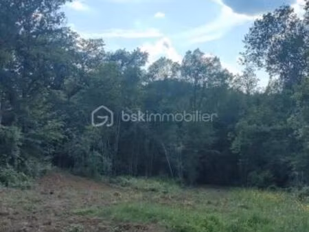 forêt 14 982 m² monclar de quercy