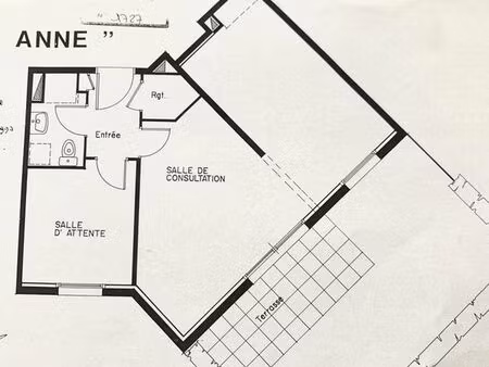 local professionnel vannes ste anne