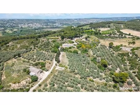 vente domaine oléicole en provence