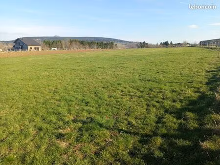 terrain constructible