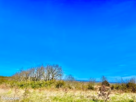 à saisir : bourret terrain 10220m2 lotir (6 lots) ou division parcellaire 50min toulouse 2