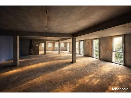 unicity center local brut 170m2