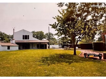 maison et grand terrain