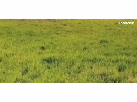 à louer – emplacement idéal en façade proche gare et a13