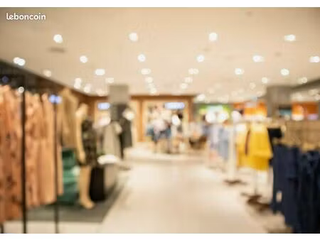 local commercial 1 000 m²