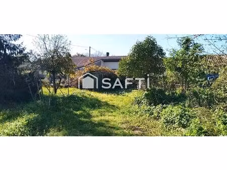 grande maison avec grand jardin