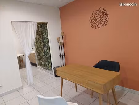 local professionnel à louer