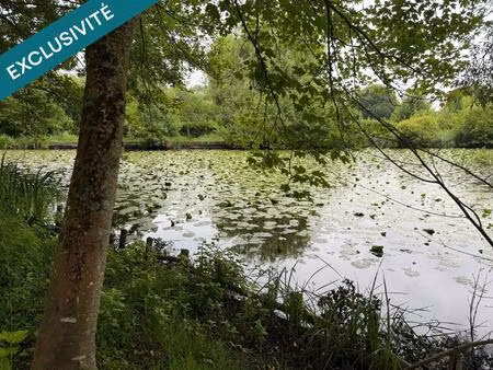 très bel étang sans vis à vis avec dépendance