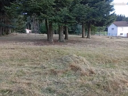 terrain constructible