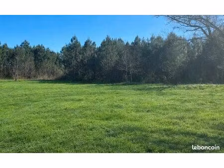 terrain 930 m² salles