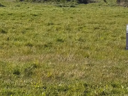 vente terrain à saint-armel (35230) : à vendre / saint-armel