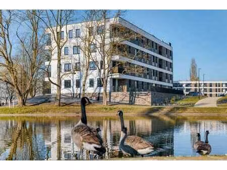 bel appartement neuf 2 chambres à jambes