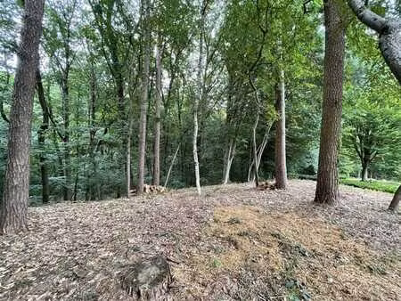 magnifique terrain boisé dans un